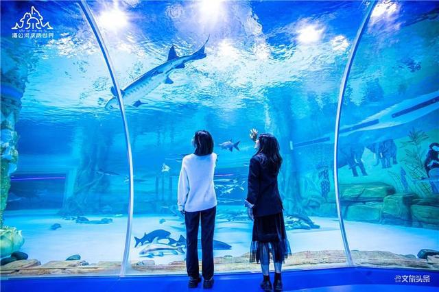 景洪市森林公园水族馆