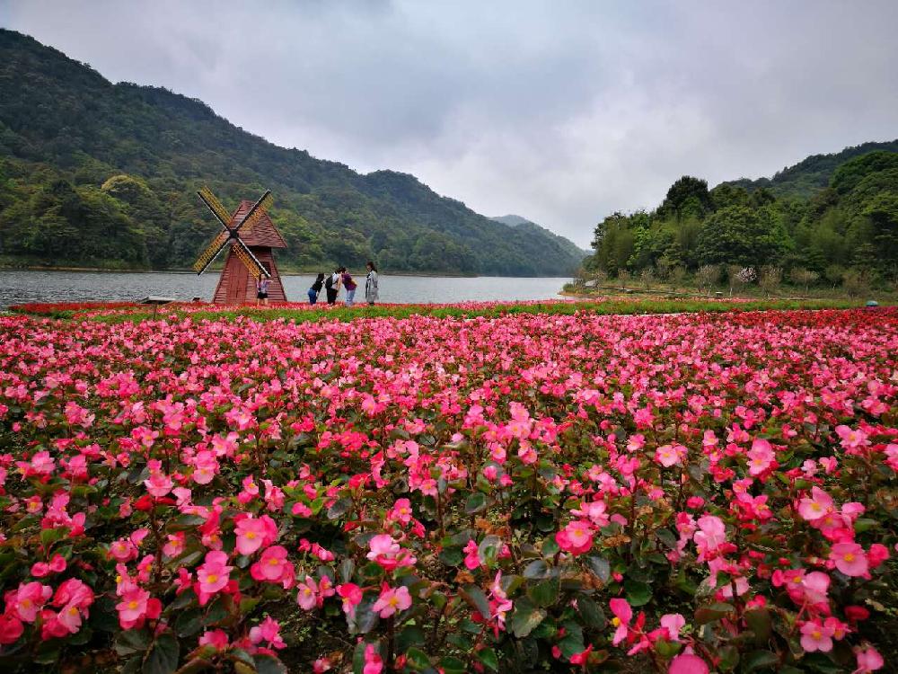 石门国家森林公园